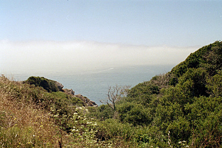 [Atop a hill looking down at a small valley to see the near waters of the ocean. A fog is covering the water a further distance from the shore.]